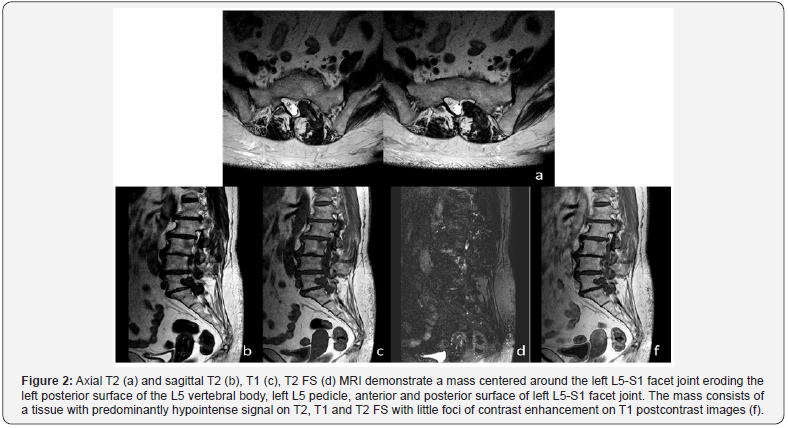 Click here to view Large Figure 2