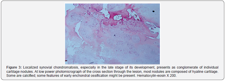 Click here to view Large Figure 3