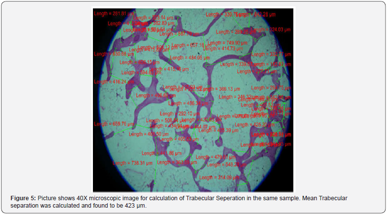 Click here to view Large Figure 5