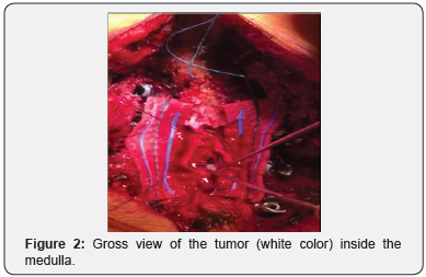 Click here to view Large Figure 2