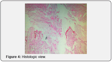 Click here to view Large Figure 4