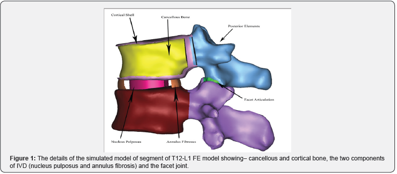 Click here to view Large Figure 1