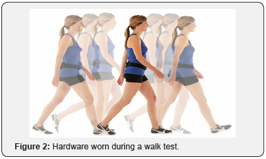 Click here to view Large Figure 2