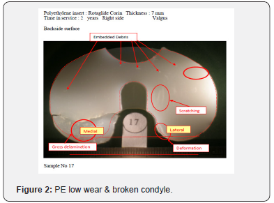 Click here to view Large Figure 2
