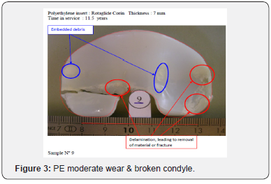 Click here to view Large Figure 3