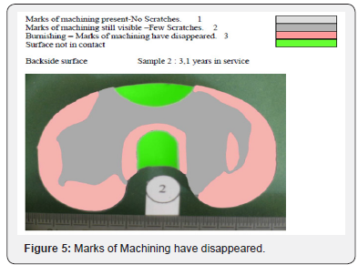 Click here to view Large Figure 5