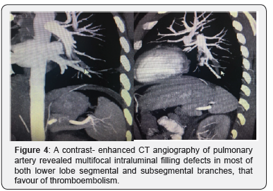 Click here to view Large Figure 4