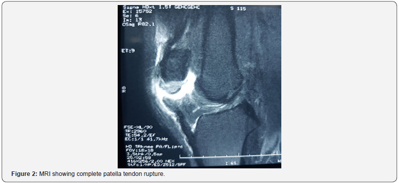 Click here to view Large Figure 2