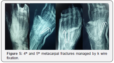 Click here to view Large Figure 5