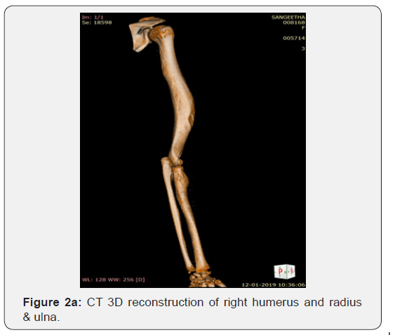 Click here to view Large Figure 2a