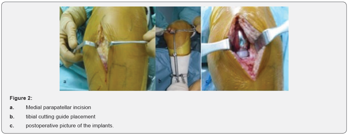 Click here to view Large Figure 2