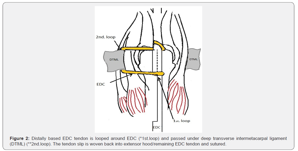 Click here to view Large Figure 2