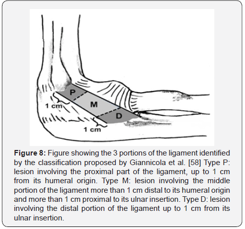 Click here to view Large Figure 8