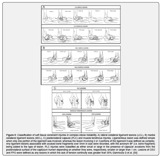 Click here to view Large Figure 9