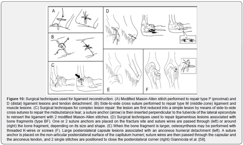 Click here to view Large Figure 10