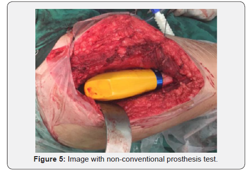 Click here to view Large Figure 5