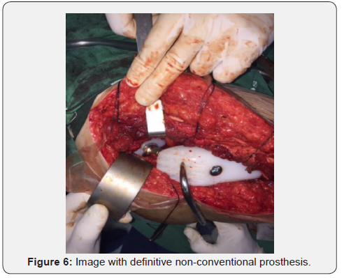 Click here to view Large Figure 6