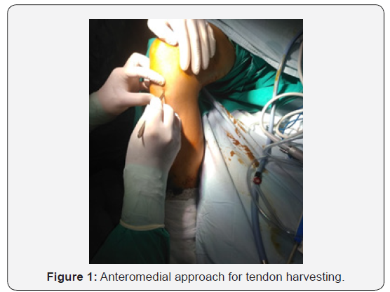 Click here to view Large Figure 1