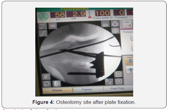 Click here to view Large Figure 4