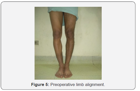 Click here to view Large Figure 5