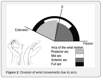 Click here to view Large Figure 2 Orthopedics and Rheumatology Open Access Journal