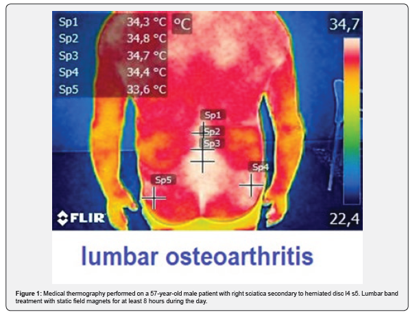 Click here to view Large Figure 1