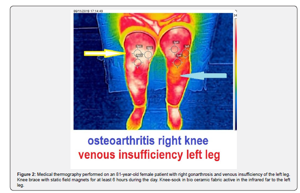 Click here to view Large Figure 2