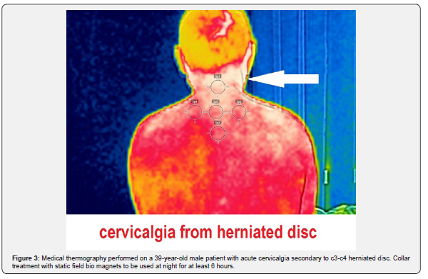 Click here to view Large Figure 3