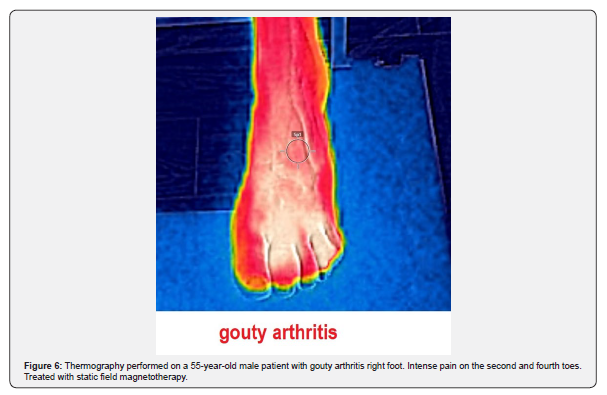 Click here to view Large Figure 6