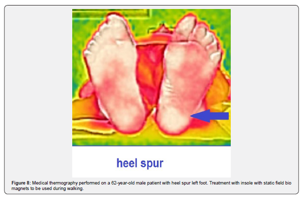 Click here to view Large Figure 8