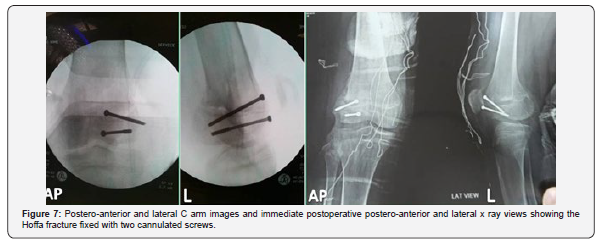 Click here to view Large Figure 7
