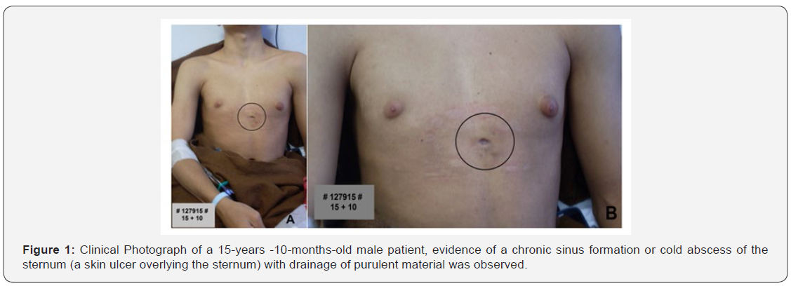 Click here to view Large Figure