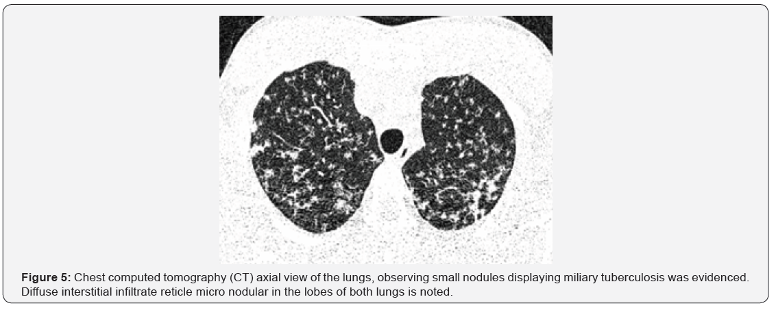 Click here to view Large Figure