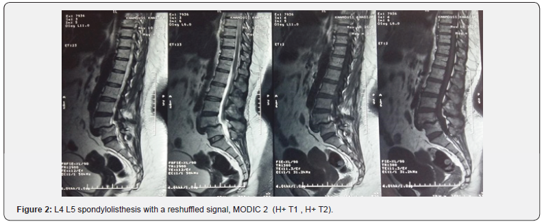 Click here to view Large Figure 2
