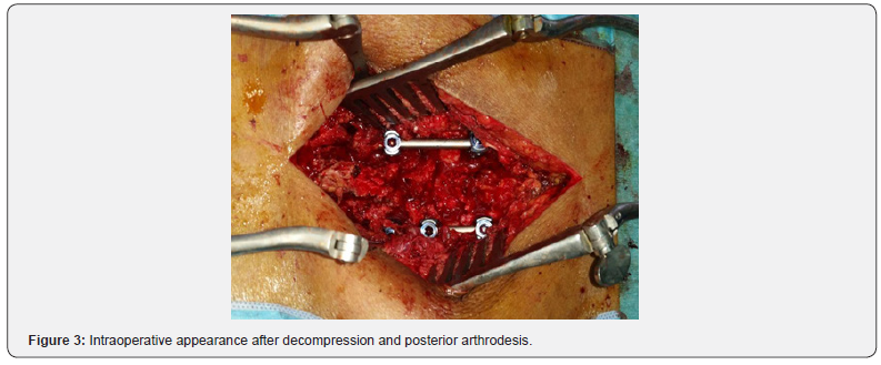 Click here to view Large Figure 3