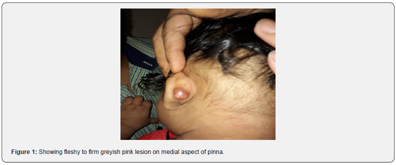 Click here to view Large Figure 1