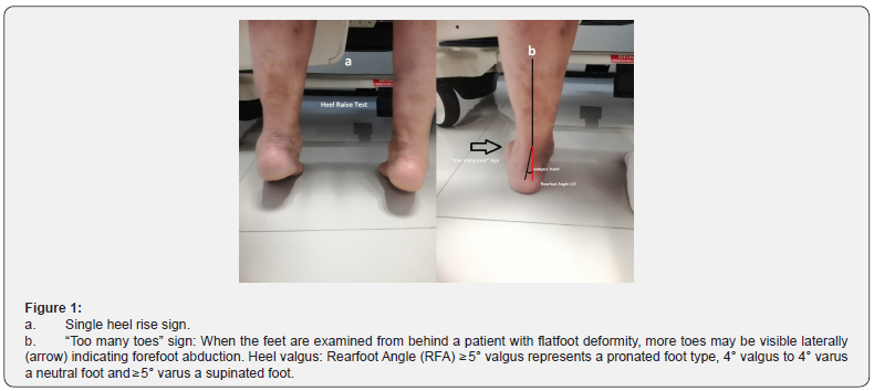 Click here to view Large Figure 1