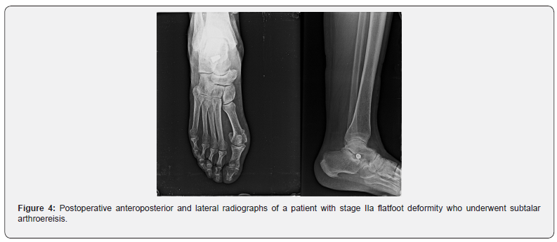 Click here to view Large Figure 4