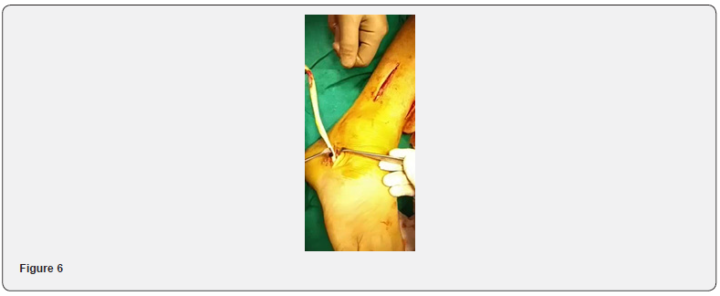 Click here to view Large Figure 6