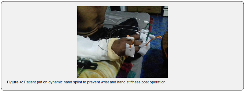 Click here to view Large Figure 4