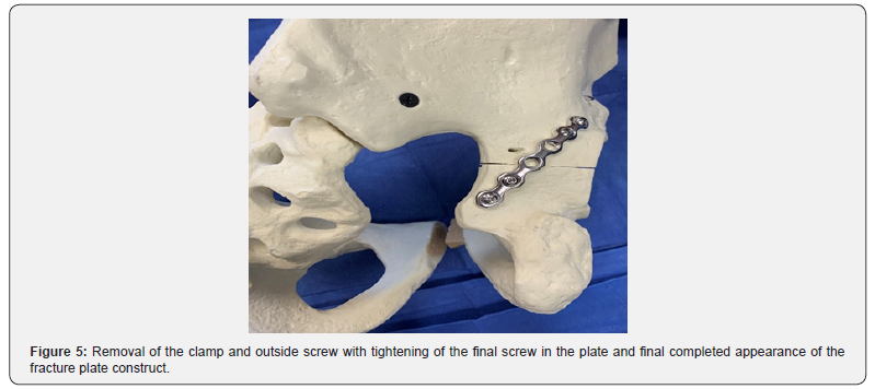 Click here to view Large Figure 5