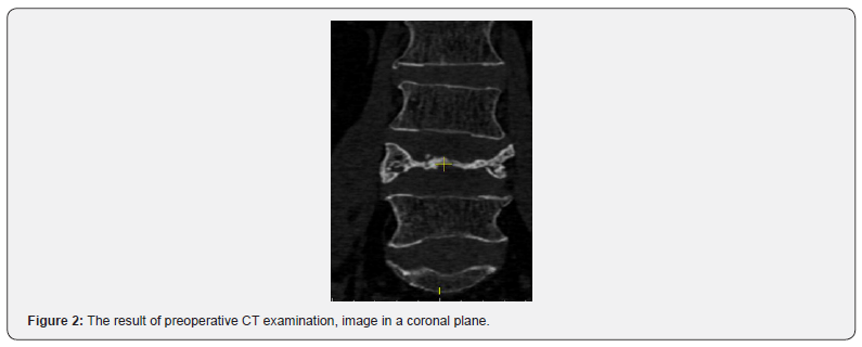 Click here to view Large Figure 2