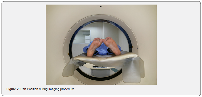 Click here to view Large Figure 2