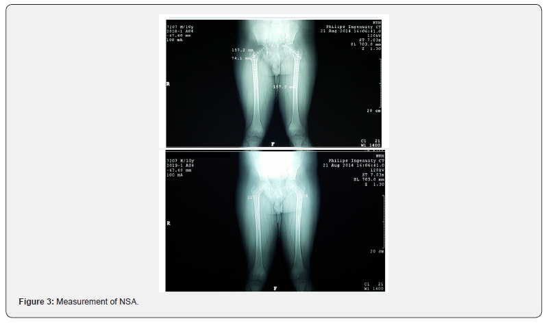 Click here to view Large Figure 3