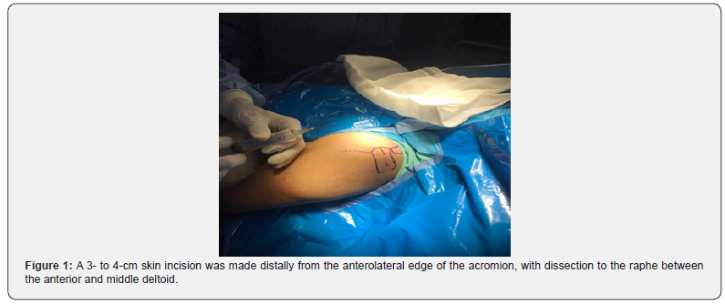 Click here to view Large Figure 1