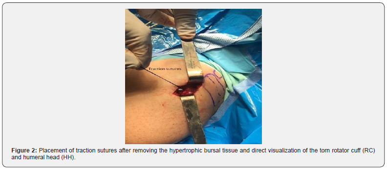 Click here to view Large Figure 2