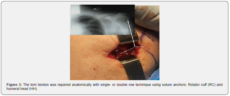 Click here to view Large Figure 3