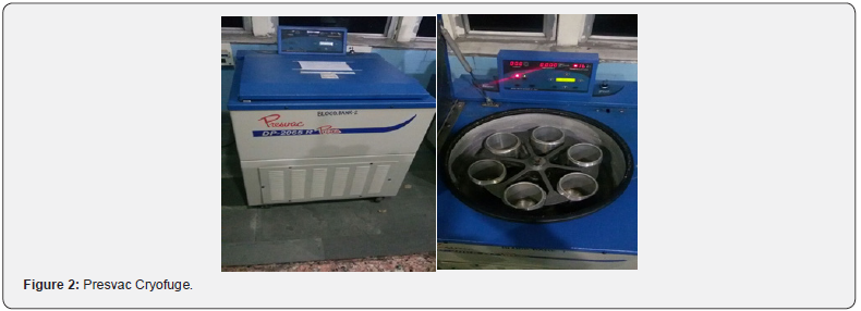 Click here to view Large Figure 2