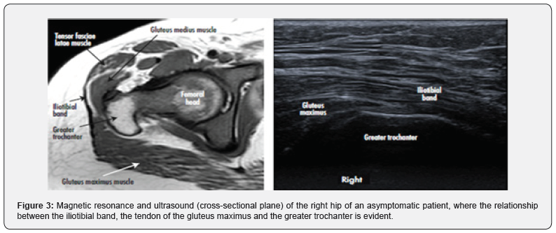 Click here to view Large Figure 3