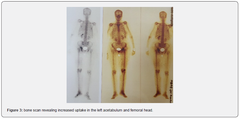 Click here to view Large Figure 3
